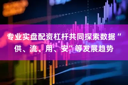 专业实盘配资杠杆共同探索数据“供、流、用、安”等发展趋势
